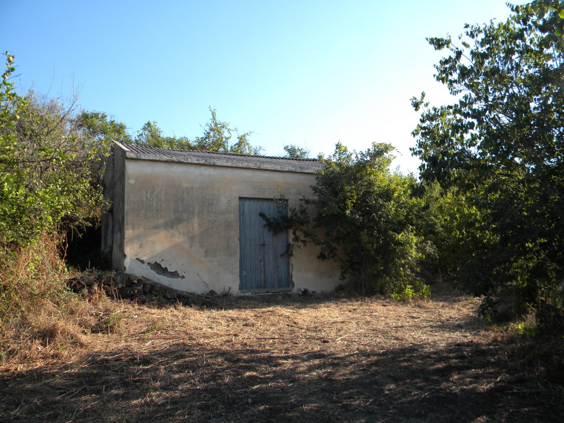 DSCN8062 .JPG